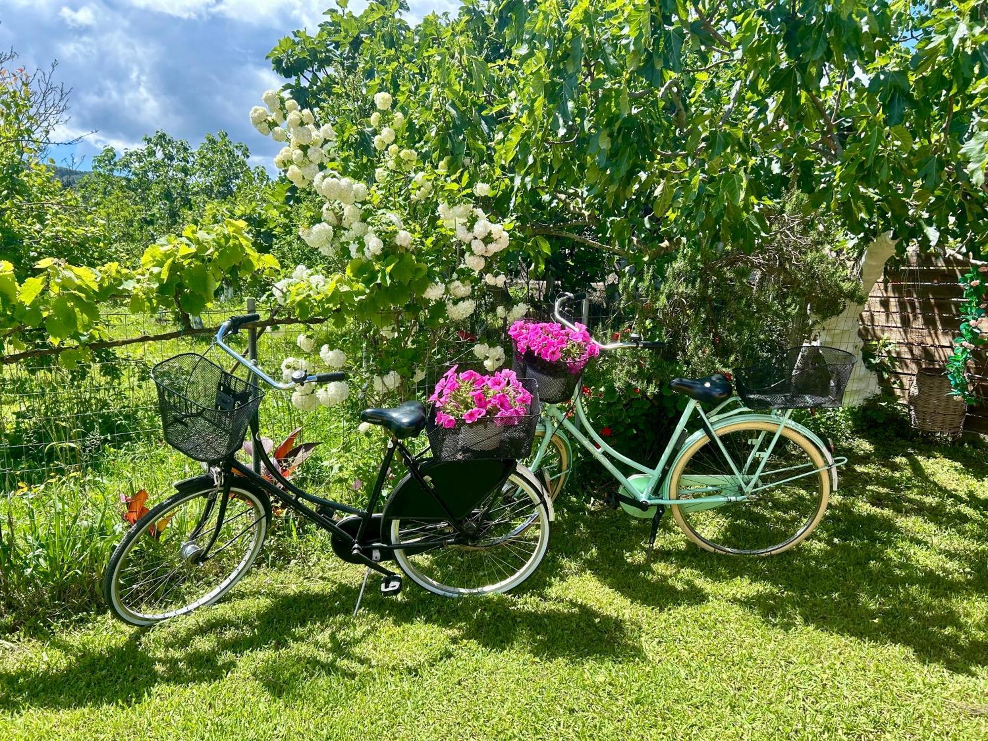 Villa Sandra Litheres Eksteriør billede